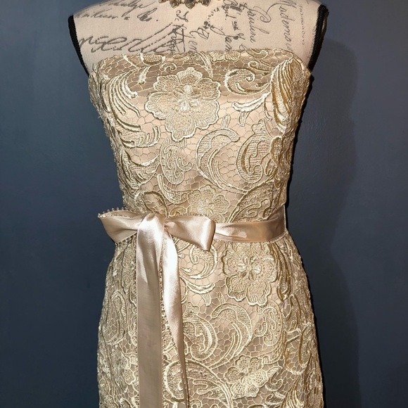 Adrianna Papell Strapless Lace Dress - Beige - Picture 5 of 7